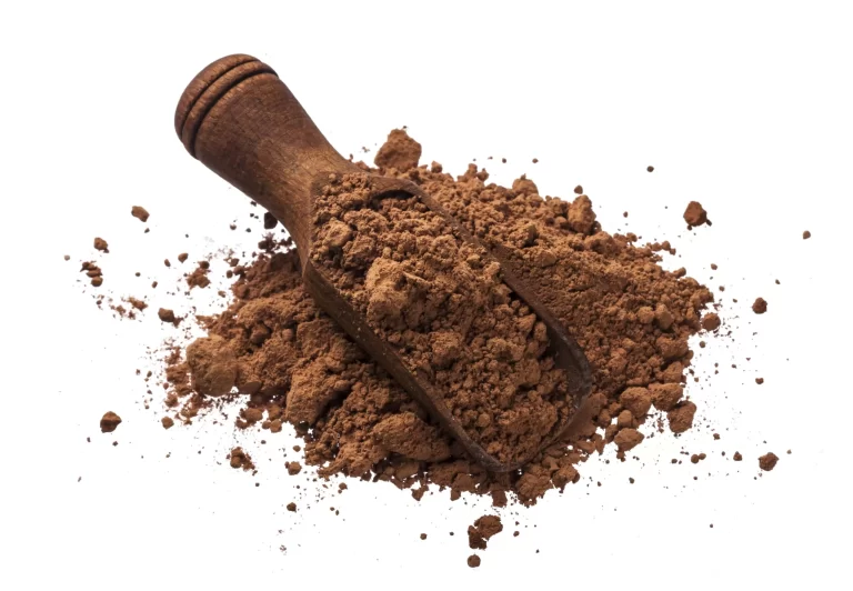 Cocoa Powder- Bakery