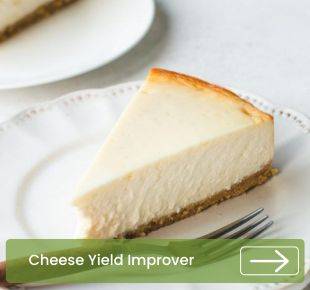 Cheese Yield Improver - Eastern India Brown Multi